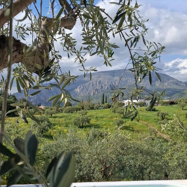 Villa Bellido - Eliza was here